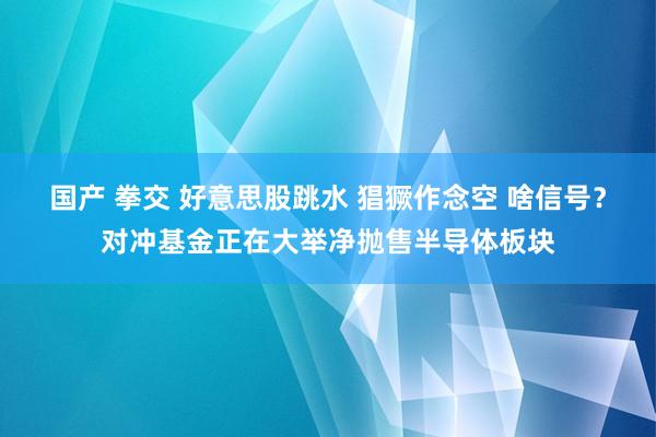 国产 拳交 好意思股跳水 猖獗作念空 啥信号？对冲基金正在大举净抛售半导体板块