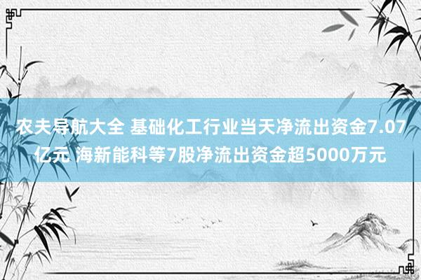 农夫导航大全 基础化工行业当天净流出资金7.07亿元 海新能科等7股净流出资金超5000万元