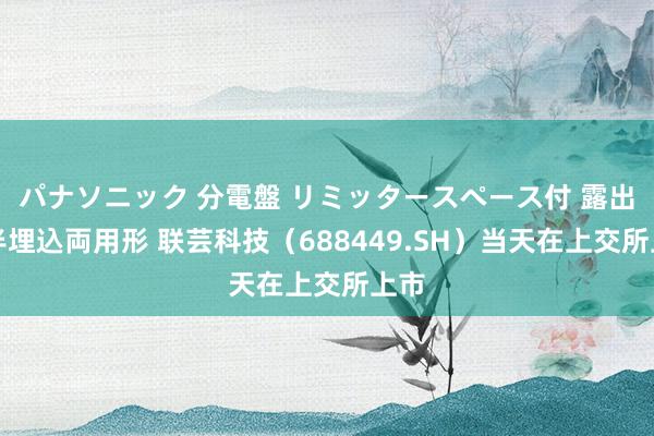 パナソニック 分電盤 リミッタースペース付 露出・半埋込両用形 联芸科技（688449.SH）当天在上交所上市
