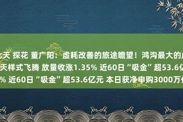 七天 探花 董广阳：虚耗改善的旅途瞻望！鸿沟最大的虚耗ETF(159928)全天样式飞腾 放量收涨1.35% 近60日“吸金”超53.6亿元 本日获净申购3000万份