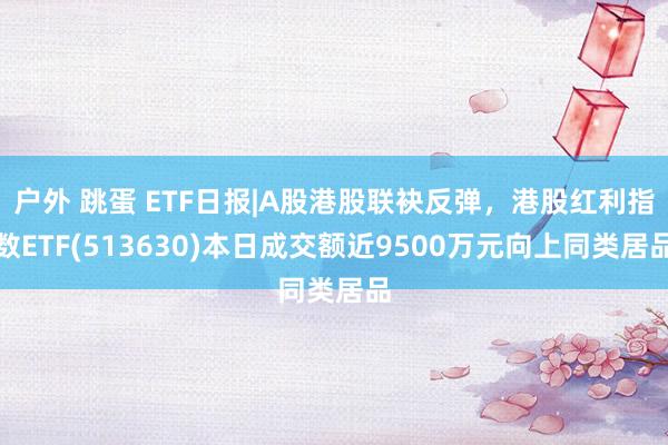 户外 跳蛋 ETF日报|A股港股联袂反弹，港股红利指数ETF(513630)本日成交额近9500万元向上同类居品