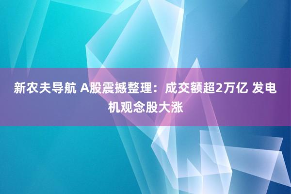 新农夫导航 A股震撼整理：成交额超2万亿 发电机观念股大涨