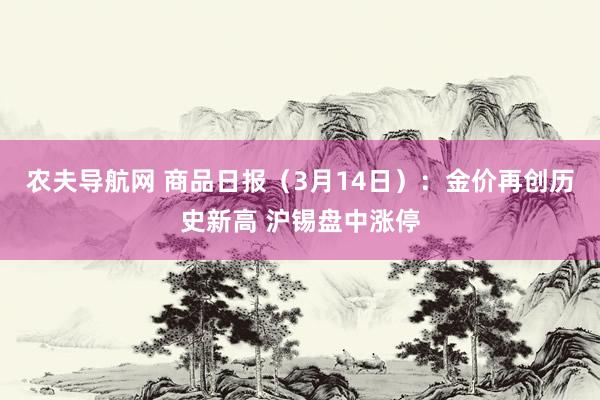 农夫导航网 商品日报（3月14日）：金价再创历史新高 沪锡盘中涨停