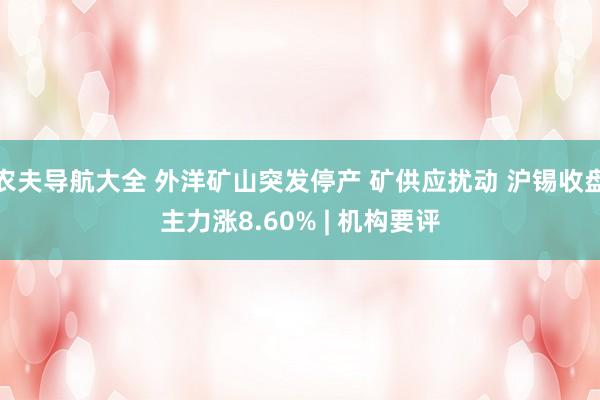 农夫导航大全 外洋矿山突发停产 矿供应扰动 沪锡收盘主力涨8.60% | 机构要评