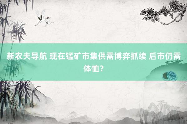 新农夫导航 现在锰矿市集供需博弈抓续 后市仍需体恤？