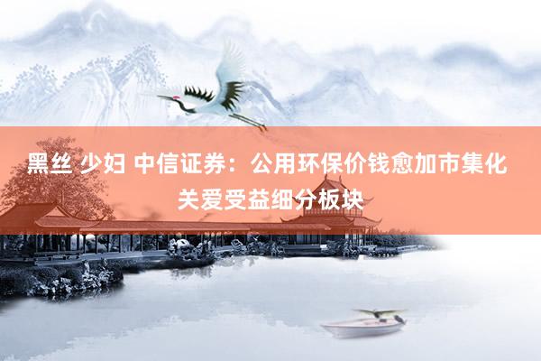 黑丝 少妇 中信证券：公用环保价钱愈加市集化 关爱受益细分板块